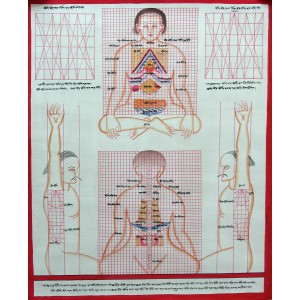 Tibetan Medicine Yoga Thangka no. 7 - 40 x 49cm
