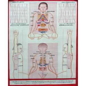 Tibetan Medicine Yoga Thangka no. 7 - 40 x 49cm