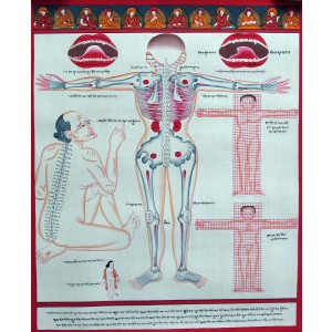 Tibetan Medicine Yoga Thangka no. 4 - 40 x 48cm