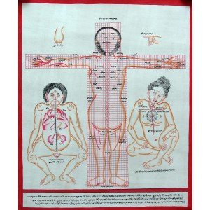 Tibetan Medicine Yoga Thangka no. 6 - 40 x 49cm